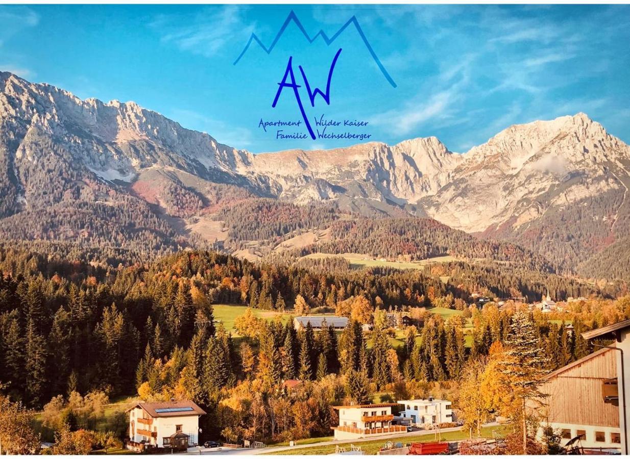 AW - Apartment Wilder Kaiser Scheffau am Wilden Kaiser Extérieur photo